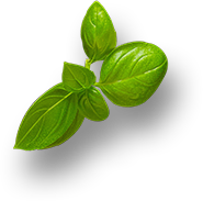 Floating vegetable illustration in hero background